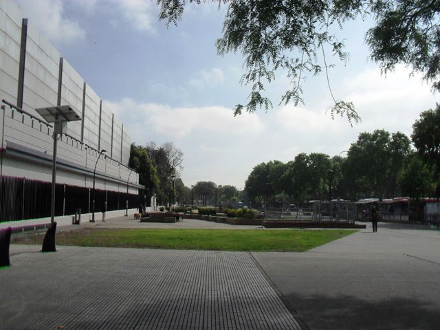JARDIN PITA